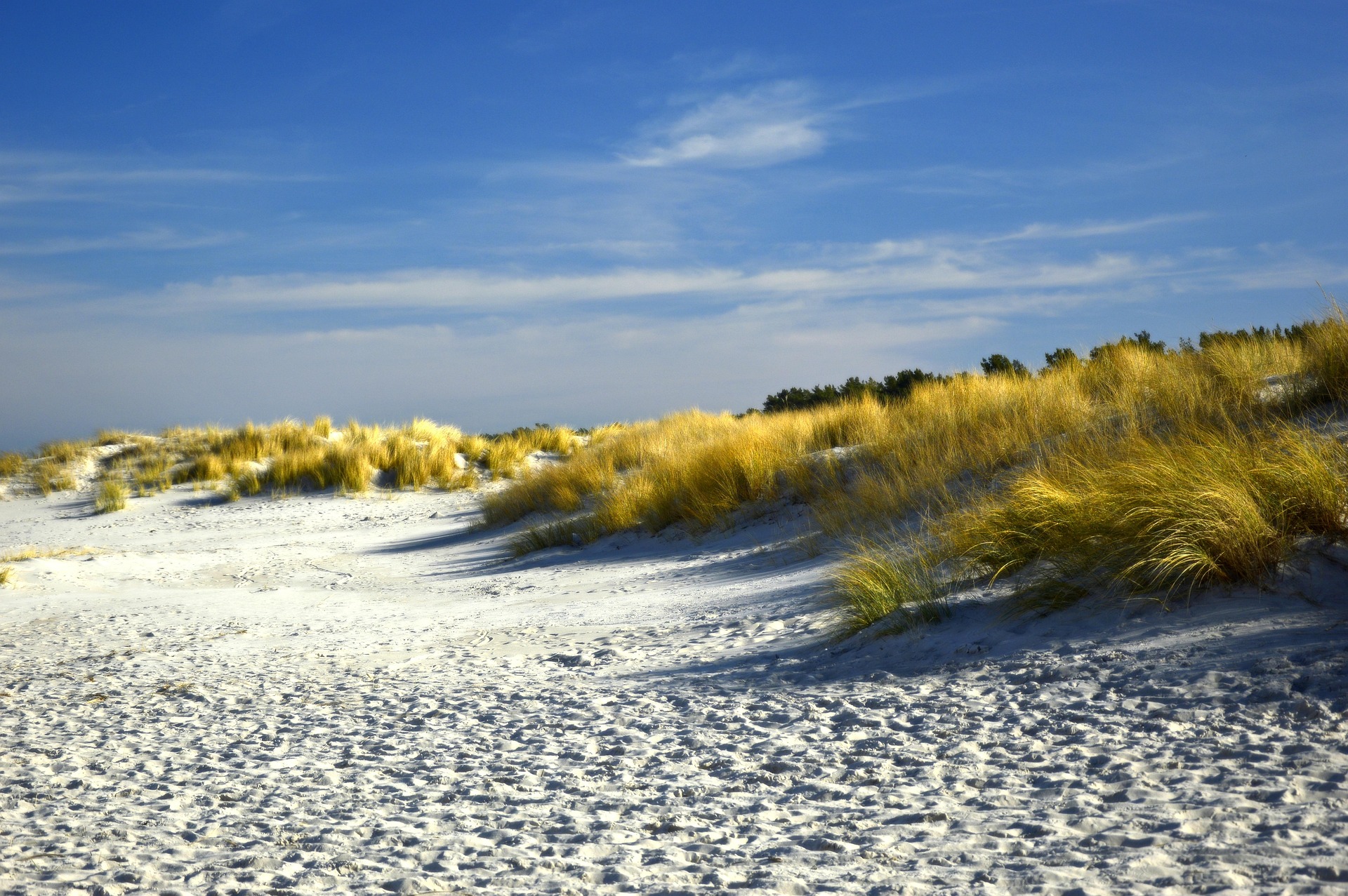 Enlist the help of our Orange Beach VRBO management services